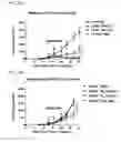 Fig. 33 - Compositions and methods for activating “stimulator of interferon gene”-dependent signalling