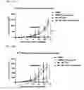 Fig. 37 - Compositions and methods for activating “stimulator of interferon gene”-dependent signalling