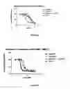 Fig. 02 - EGFR ANTIBODY-BASED COMBINATION THERAPY
