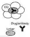 Fig. 01 - Targeted Delivery Platform for Delivery of Therapeutics