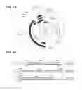 Fig. 02 - RNA GUIDED ERADICATION OF HUMAN JC VIRUS AND OTHER POLYOMAVIRUSES