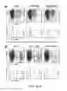 Fig. 09 - Methods and compositions relating to improved lentiviral vectors and their applications