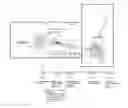 Fig. 01 - ROOT CAUSE CURE AND PREVENTATIVE MEASURE FOR SCHIZOPHRENIA AND OTHER MENTAL ILLNESS