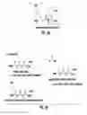 Fig. 04 - Scaffolds and multifunctional intermediates for imaging PSMA and cancer therapy