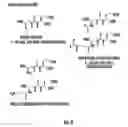 Fig. 05 - Scaffolds and multifunctional intermediates for imaging PSMA and cancer therapy