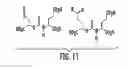 Fig. 12 - Scaffolds and multifunctional intermediates for imaging PSMA and cancer therapy