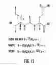 Fig. 13 - Scaffolds and multifunctional intermediates for imaging PSMA and cancer therapy
