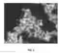 Fig. 03 - Compositions and associated methods for radioisotope-binding microparticles