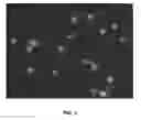 Fig. 04 - Compositions and associated methods for radioisotope-binding microparticles