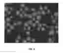 Fig. 06 - Compositions and associated methods for radioisotope-binding microparticles