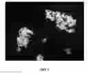 Fig. 08 - Compositions and associated methods for radioisotope-binding microparticles