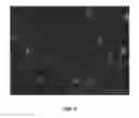 Fig. 09 - Compositions and associated methods for radioisotope-binding microparticles