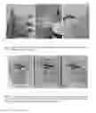 Fig. 02 - Additive compositions for pigmented disinfection and methods thereof