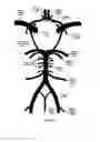 Fig. 09 - VESSEL ACCESS CATHETER