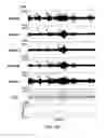 Fig. 09 - System and method for non-invasively controlling autonomic nerve activity