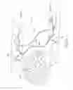 Fig. 09 - Methods of neuromodulation using infraslow stimulation