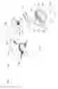 Fig. 04 - SPORTS TRAINING-DEVICE