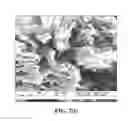 Fig. 07 - NANOCARBON IMMOBILIZED MEMBRANES