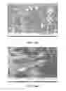 Fig. 22 - NANOCARBON IMMOBILIZED MEMBRANES