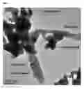 Fig. 06 - MIXED METAL OXIDE COMPOSITE FOR OXYGEN STORAGE