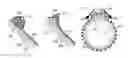 Fig. 01 - HIGH ENERGY EFFICIENCY PHASE CHANGE DEVICE USING CONVEX SURFACE FEATURES
