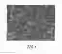 Fig. 02 - Silver powder