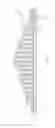 Fig. 07 - Die body apparatus and methods