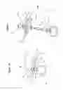 Fig. 07 - Ergonomic cutting shears