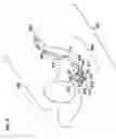 Fig. 09 - Elevated shaver