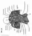 Fig. 19 - Elevated shaver