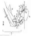 Fig. 43 - Elevated shaver
