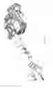 Fig. 07 - CUTTING ARM ASSEMBLY FOR TILE CUTTER