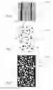 Fig. 04 - Strands powdered by electrostatic method
