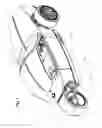 Fig. 02 - Single wheel swing arm with trough
