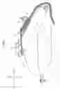 Fig. 02 - Fuel tank