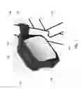 Fig. 02 - Method and apparatus for vehicular light fixtures