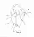 Fig. 04 - Carrier mounting