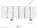 Fig. 02 - FORMING FOR COMPOSITE PANEL FOR IMPARTING STRENGTH