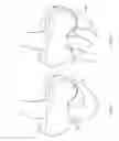 Fig. 07 - DIVING AND SNORKELING MASK STRUCTURE