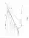 Fig. 10 - Underwater propulsion apparatus and underwater exploration apparatus