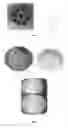 Fig. 02 - METHOD FOR PACKAGING A HIGH TEXTURED DAIRY PRODUCT