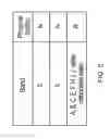 Fig. 06 - Beverage supply apparatus