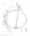 Fig. 02 - HALTER FOR CONTROLLING AN ANIMAL