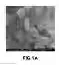 Fig. 02 - COMPOSITIONS AND METHODS FOR MANUFACTURING A CATHODE FOR LITHIUM SECONDARY BATTERY