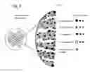Fig. 06 - Selective adsorbent fabric for water purification
