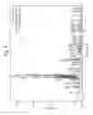 Fig. 06 - High strength glass-ceramics having lithium disilicate and beta-spodumene structures