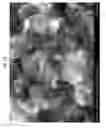 Fig. 07 - High strength glass-ceramics having lithium disilicate and beta-spodumene structures
