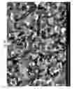 Fig. 09 - High strength glass-ceramics having lithium disilicate and beta-spodumene structures