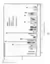 Fig. 04 - Sintered ceramic bodies and applications thereof