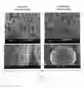 Fig. 07 - Stability of gas atomized reactive powders through multiple step in-situ passivation